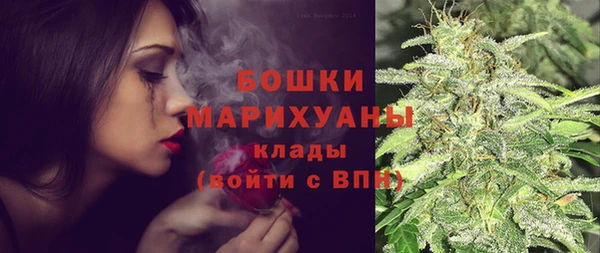 прущие крисы Арсеньев